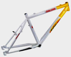 Steel frame