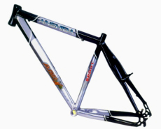 Steel frame